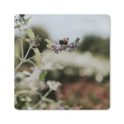 Produktbild von MuchoWow® Mauspad Mousepad Tagpfauenauge Schmetterling auf Lavendel 30x30 cm - Mousepads - Maus Mat - Pad - Mausunterlage - Gaming