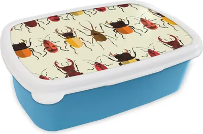 Produktbild von KitchenYeah® Lunchbox Brotzeit Brotdose 17x11 cm Käfer - Muster - Insekten Kinder Brotzeitdose - Lunch - Kunststoff  - Brotbüchse - Sandwichbox - Lunchbox für Kinder
