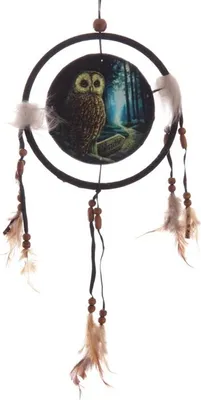 Produktbild von Traumfänger, Magische Eule, Hexenpfad, ca. 16 cm Durchmesser