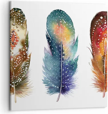 Produktbild von Bild auf Leinwand - Leinwandbild - Einteilig - Feder Vogel Farbe - 60x60cm - Wand Bild - Wanddeko - Wandbilder - Leinwanddruck - Bilder - Wanddekoration - Leinwand bilder - Wandbild - AC60x60-4927