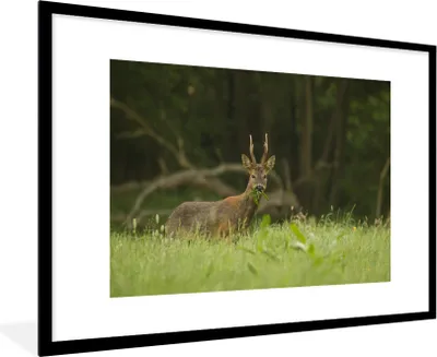 Produktbild von MuchoWow® MuchoWow® Gerahmtes Poster Hirsche - Gras - Wald 90x60 cm - Poster mit zchwarzem Bilderrahmen - Wanddekoration - Fotos