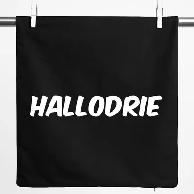 Produktbild von Huuraa Kissenbezug Hallodrie Schriftzug 40x40cm Black Baumwolle Dekokissenbezug Geschenkidee
