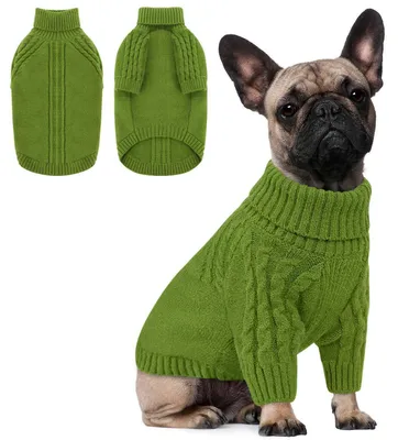 Immagine prodotto di Maglione per cani, a maniche lunghe, verde, taglia L