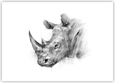 Produktbild von Poster - Poster ohne Rahmen - Nashorn Porträt Grafik - 70x50 cm - Wand Bild - Wanddeko - Wandbilder - Kunstposter - Wandposter - Bilder - Kunstdruck - Wanddekoration - Wandbild - P2XAA70x50-4378