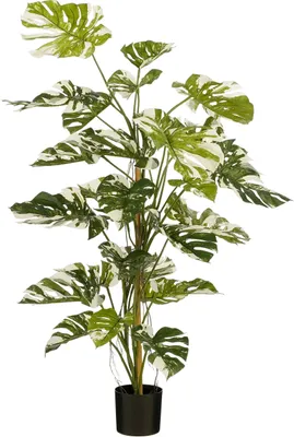 Produktbild von Mica Decorations Monstera Baum Kunstpflanze - H140 x Ø120 cm - Grün