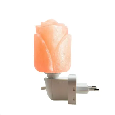 Produktbild von Orakl® - Salzlampe Nachtlicht Flora - 100% echtes Salz - Salzstein Nachtlicht - Salzkristall-Lampe - Salzstein