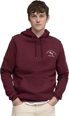 Produktbild von Hoodie Puma 113-688221 für Herren
