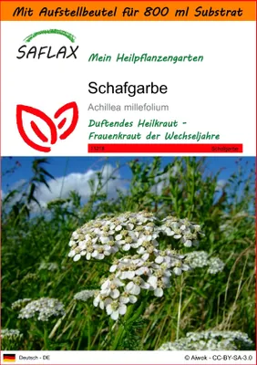 Produktbild von SAFLAX - Garden in the Bag - Heilpflanzen - Schafgarbe - 200 Samen - Mit Anzuchtsubstrat im praktischen, selbst aufstellenden Beutel - Achillea millefolium