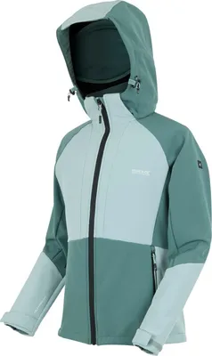 Produktbild von Regatta Softshelljacke Desoto für Damen mit Kapuze, Farbe:Mint, Größe:38
