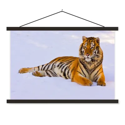 Produktbild von MuchoWow® Textilposter Tiger - Schnee - Winter - Tiere 90x60 cm mit schwarzem Rahmen - Aufhängungssatz