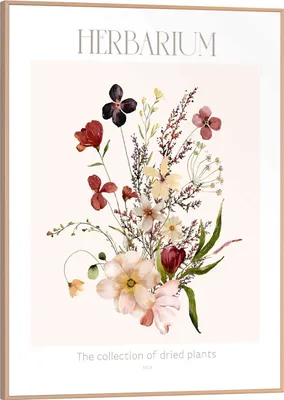 Produktbild von Wandbild - 30 x 40 cm - Braun - Rot - Weiß - Herbarium