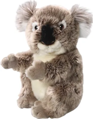 Obrázok produktu pre Carl Dick Koala medveď cca 22cm, plyšová hračka, plyšová hračka, plyšák 3681