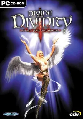 Produktbild von Divine Divinity PC