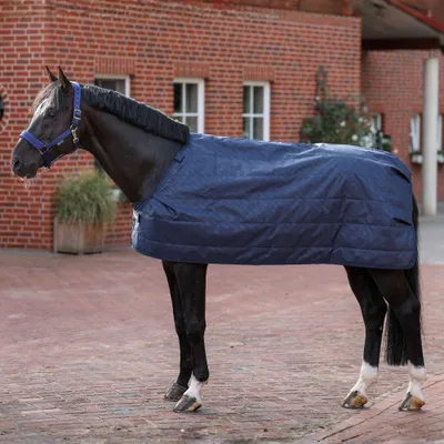 Produktbild von Bucas Unterdecke in Größe 130 - Liner Big-Neck 100g, KI-generiertes Bild