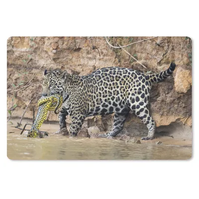 Produktbild von MuchoWow® Schreibtischunterlage Jaguar - Schlange - Wasser 60x40 cm - XXL Mauspad - Großes Mauspad