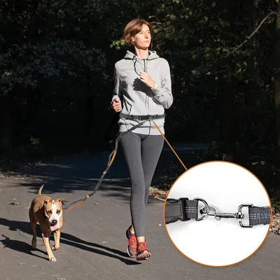 Produktbild von Handfreie Hunde-Leine verstellbar mit einziehbarem Bungee reflektierend - für Hunde bis 100 Pfund