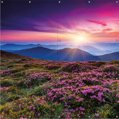 Produktbild von Wallario Outdoor-Poster für Garten oder Balkon, Motiv Blumenbedeckte Wiese bei Sonnenuntergang, in ca. 180 x 180 cm