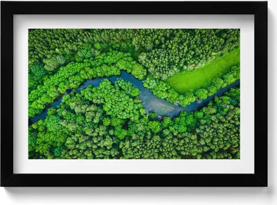 Produktbild von Wald und Fluss aus der Vogelperspektive– Wandbild mit Rahmen – Gerahmtes Bild  – Wanddekoration – 30x20 cm –  Schwarz Rahmen