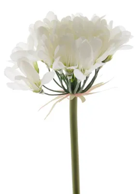Produktbild von Blume Seidenblume Lilie Schmucklilie weiß 60 cm