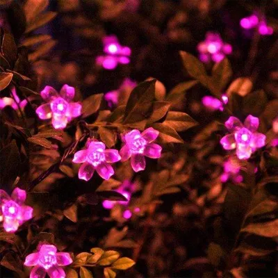 Image de Guirlande lumineuse solaire - Éclairage décoratif d'extérieur - Pour illuminer vos fêtes de jardin - 8 modes - 5 mètres - 20 LED - Rose