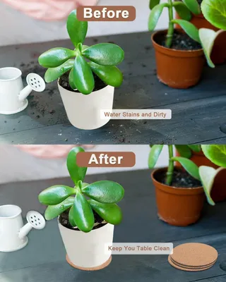 Zdjęcie produktu dla Podstawki korkowe pod rośliny - Podstawki chłonne pod rośliny - Podstawki pod doniczki DIY do wnętrz - Akcesoria do doniczek (16,8 cm)