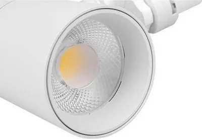 Zdjęcie produktu dla Reflektor LED 3-fazowy regulowany 10W