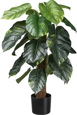 Produktbild von Kopu® Kunstpflanze Pilondendron Scandens 90 cm - Grün