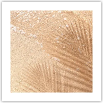 Produktbild von Poster - Poster ohne Rahmen - Sand Schatten Blätter - 40x40 cm - Wand Bild - Wanddeko - Wandbilder - Kunstposter - Wandposter - Bilder - Kunstdruck - Wanddekoration - Wandbild - P2XAC40x40-4580