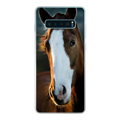 Produktbild von MuchoWow® Handyhülle Schutzhülle Hülle für Samsung Galaxy S10 Lite Pferd - Kopf - Licht Silikon Softcase Handy Hülle - Schutz