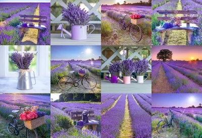 Zdjęcie produktu dla Puzzle drewniane LAVENDER FRANCJA S, Drewniane miasto, 75 elementów