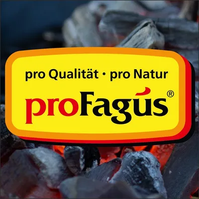 Produktbild von proFagus Der Sommer Hit Buchen Grillholzkohle zum Grillen 2500g