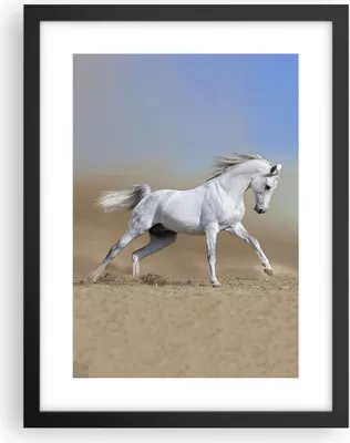 Produktbild von Gerahmtes Poster - Schwarzer Rahmen - Pferd weiß Tier - 30x40 cm - Wand Bild - Wanddeko - Wandbilder - Kunstposter - Wandposter - Bilderrahmen - Bilder - Kunstdruck - Wandbild - P2BPA30x40-0167