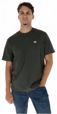 Productafbeelding van Dickies T-shirt Heren Groen - DK0A4XDB - Maat S
