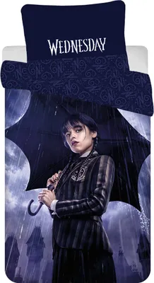 Produktbild von JERRY FABRICS Linen w zestawie Wednesday Rain Cotton, 140/200, 70/90 cm