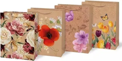 Obrázok produktu pre Darčeková taška L kraft 260x340x140