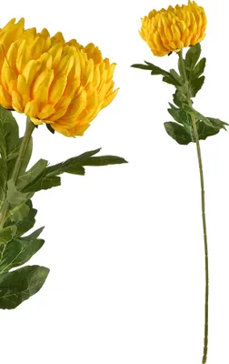Produktbild von Künstliche Chrysanthemenblume Synthetikgewebe Viridis AW25 Zweig 73x13 cm Gelb 1 Stück