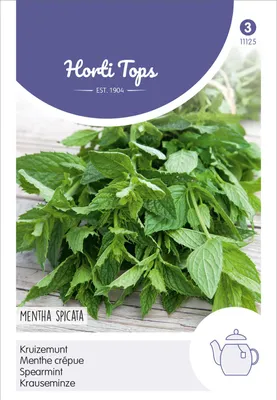 Produktbild von Krauseminze | Minzesamen von Hortitops