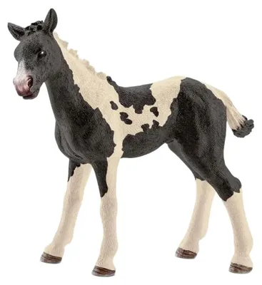 Image de Schleich 17084 - Farm World - Poulain Pinto (13803)