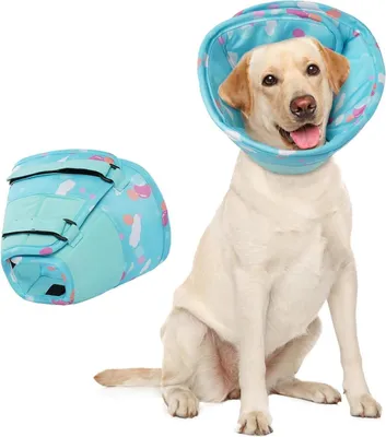 Image de Collier pour chien Protection contre les fuites Imperméable Réglable Doux Bleu L