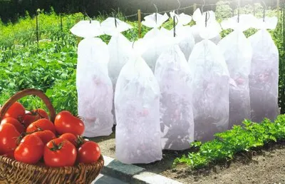 Produktbild von TOMATEX Wachstumshülle 0,6x10m