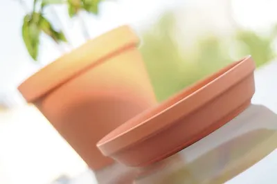A terracotta plant pot and its saucer are placed on a reflective surface, with a blurred green background suggesting an outdoor or natural setting.