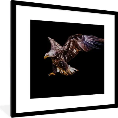 Produktbild von MuchoWow® Gerahmtes Poster Adler - Vogel - Federn 40x40 cm - Poster mit Schwarzem Bilderrahmen Wandposter Rahmen Foto Bilder - Poster - Plakat im Rahmen