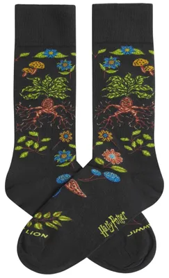 Image de Chaussettes Jimmy Lion HARRY POTTER HERBOLOGY pour Uni