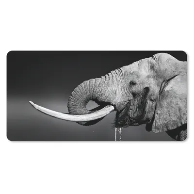 Produktbild von MuchoWow® Mauspad Mousepad Elefant - Wasser - Tiere - Schwarz - Weiß 60x30 cm - Mousepads - Maus Mat - Pad - Mausunterlage - Nachhaltig