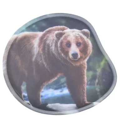 Produktbild von Ergobag Kontur-Klettie Grizzly Bär