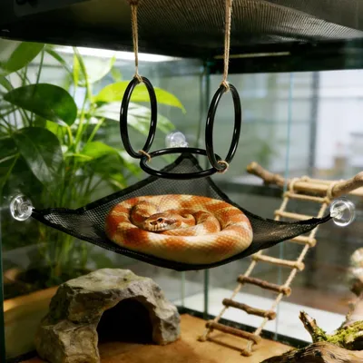 Imagen del producto de Juego de escalera y hamaca para reptiles