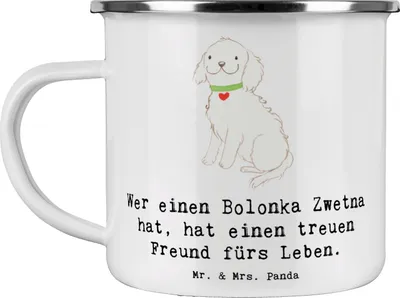 Produktbild von Mr. & Mrs. Panda Teetasse Bolonka Zwetna - Weiß - Geschenk, Hunderassen, hypoallergen, Hunderasse, Familienhund, Emaille Tasse, Hunde, Motivtasse, Teebecher, Kaffeepott