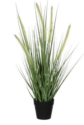 Produktbild von Mica Decorations Dogtail Gras Kunstpflanze - H53 x Ø30 cm - Grün
