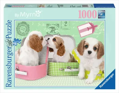 Produktbild von Ravensburger Puzzle - Reisefieber, 1000 Teile