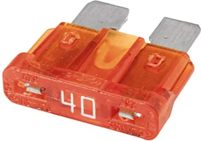 A close-up studio shot of a single car fuse.